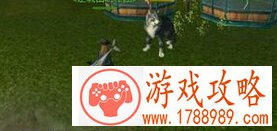 上古世纪,狼宠获得途径