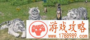 商城老虎