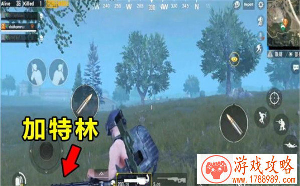 福星单机游戏推荐 福星单机游戏推荐