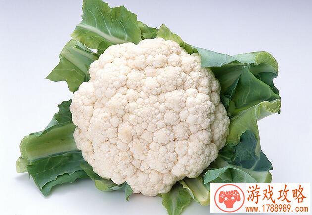 奇幻策略手游《铁王座》 4.11删档封测 奇幻策略手游《铁王座》 4.11删档封测