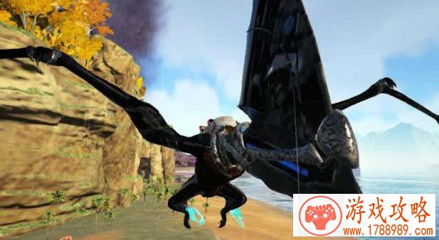 决斗链接黑魔导 黑魔导构筑思路